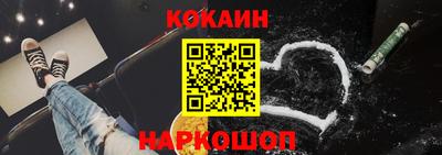 СК Новодвинск