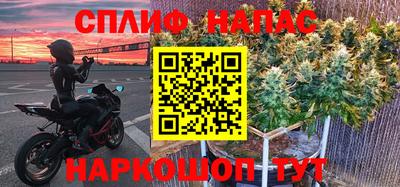 СК Новокубанск
