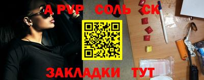 СК Новодвинск