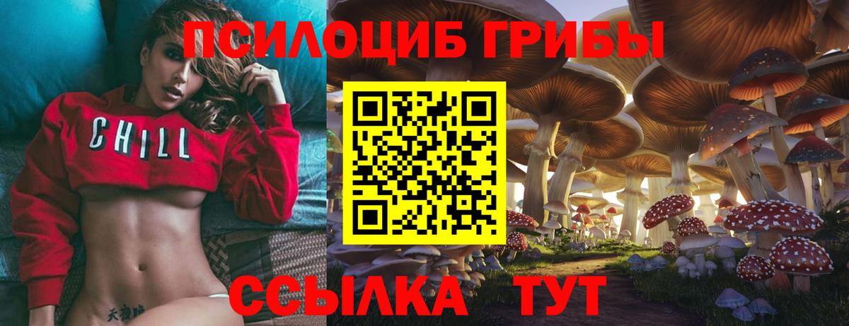 Галлюциногенные грибы мухоморы  Псилоцибиновые грибы мухоморы  Торжок  Вход с VPN 